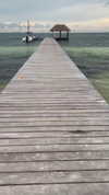 viol.gubin Altpins Profile Picture