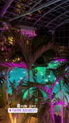 viol.gubin Altpins Profile Picture