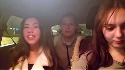 tuliprivet tuliprivet archive video