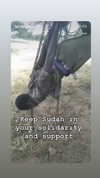 hailey_rxse Altpins Profile Picture