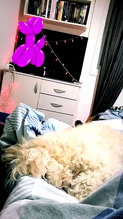 feelbetterinmysweater feelbetterinmysweater archive video