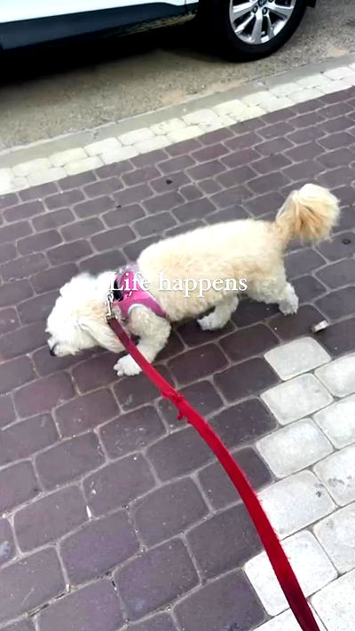 feelbetterinmysweater feelbetterinmysweater archive video