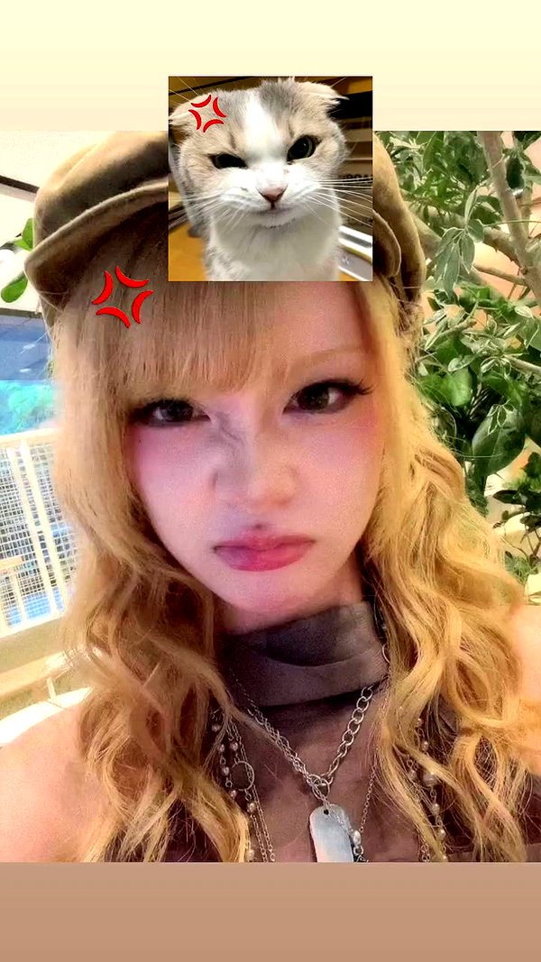 chanrio.u_u archive video preview