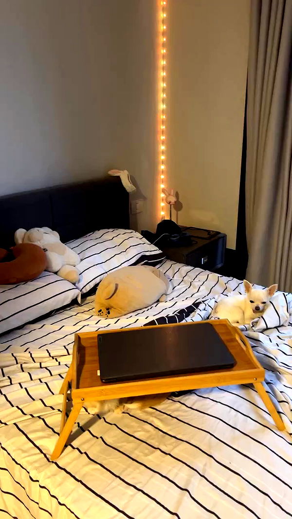 rinsrain archive video preview