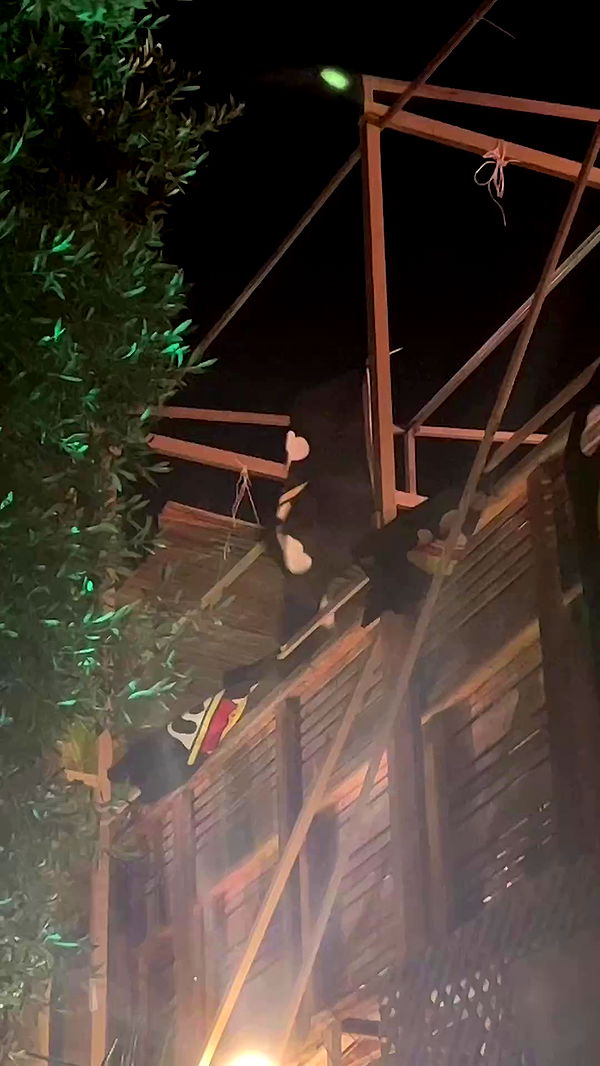 rinsrain archive video preview