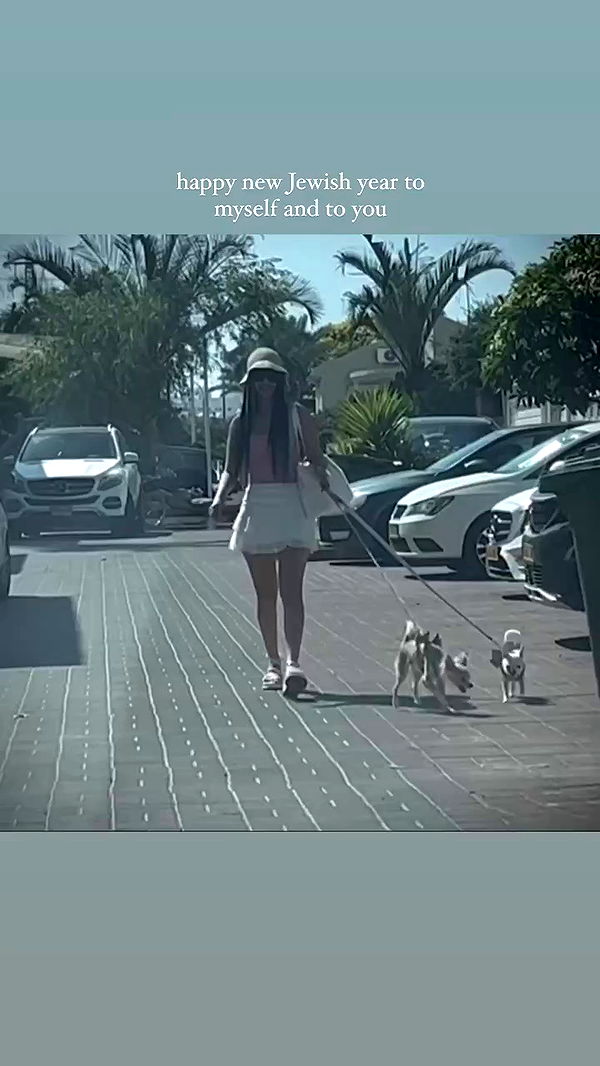 rinsrain archive video preview