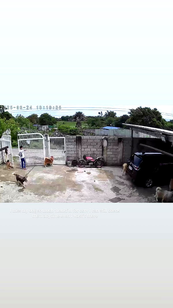 akariiiiiiiu archive video preview