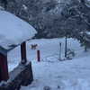 suadaunanh_ne Altpins Profile Picture