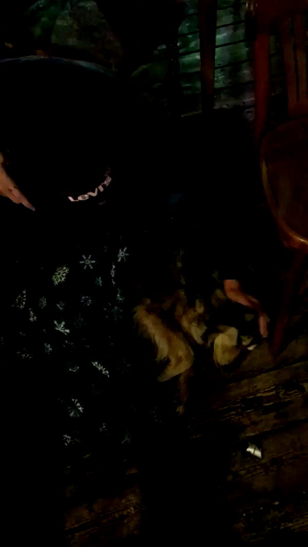 roni_ackerman archive video preview