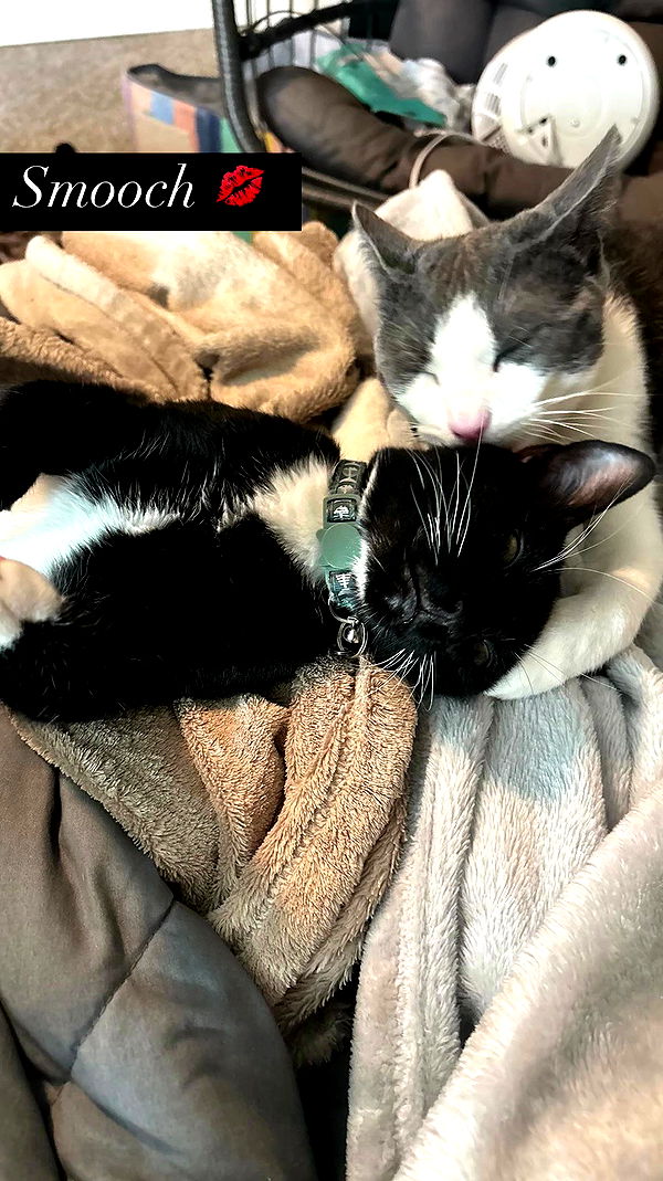 tatum.ricee archive video preview