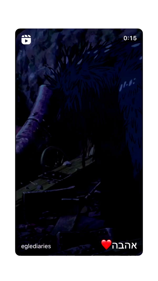 moonliliaght archive video preview