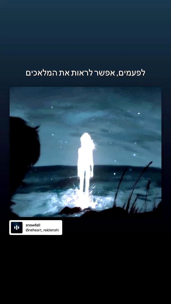 moonliliaght archive video preview