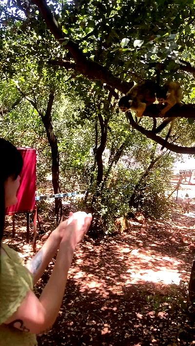 feelbetterinmysweater feelbetterinmysweater archive video