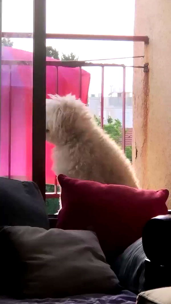 feelbetterinmysweater archive video preview