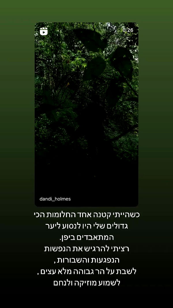 moonliliaght archive video preview