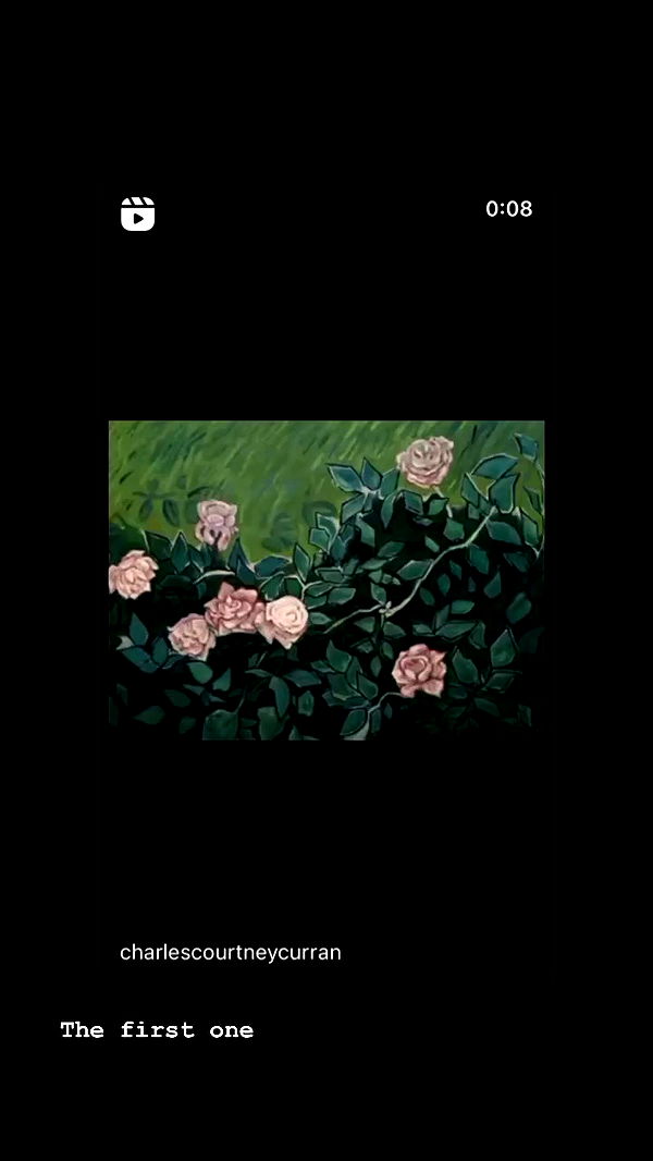 moonliliaght archive video preview