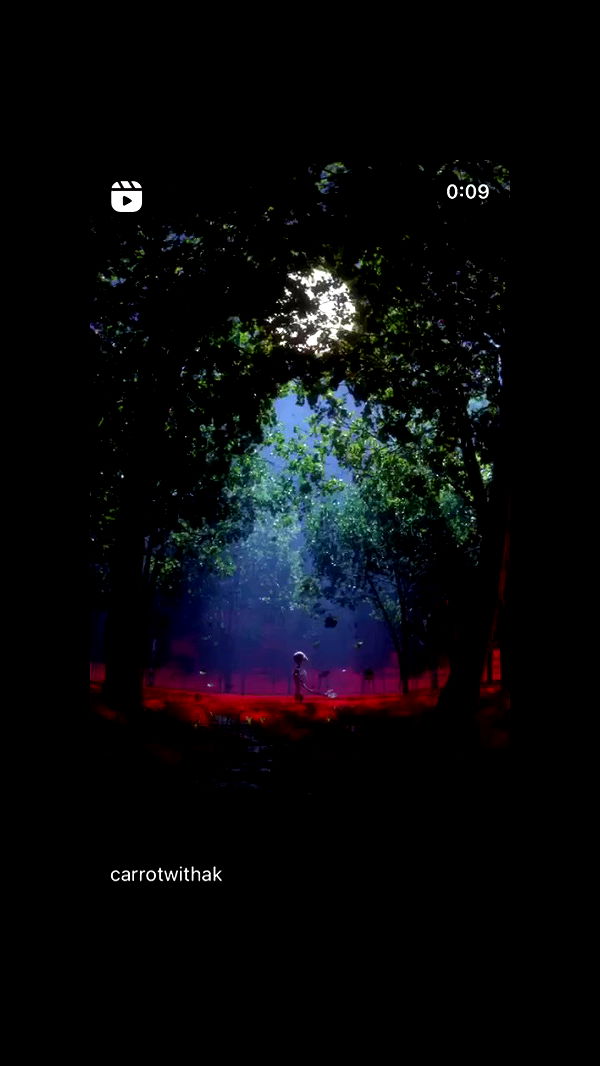 moonliliaght archive video preview