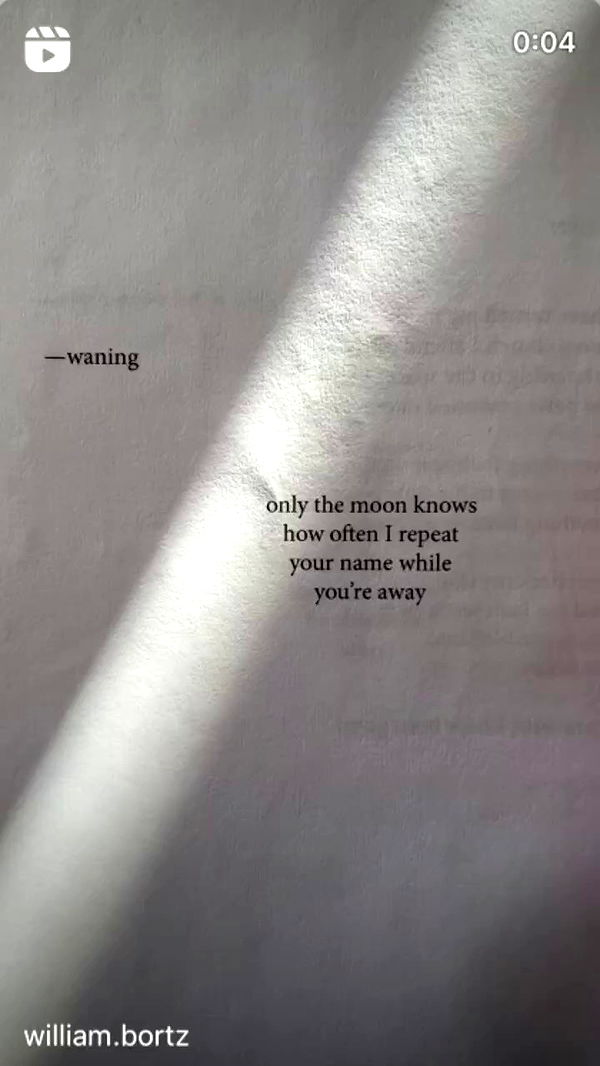 moonliliaght archive video preview