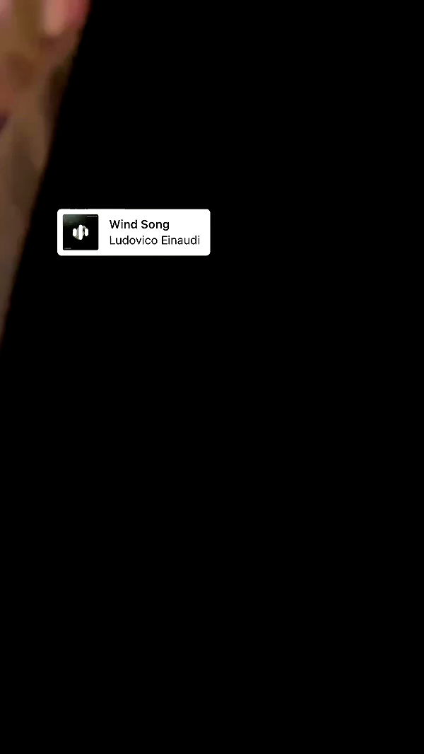 moonliliaght archive video preview