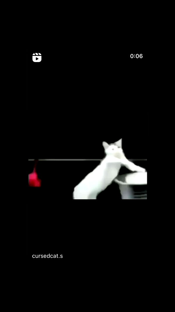 moonliliaght archive video preview