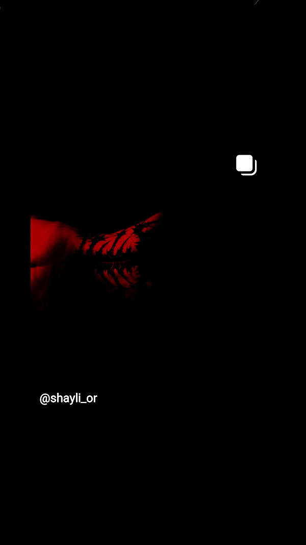 shayli_or archive video preview