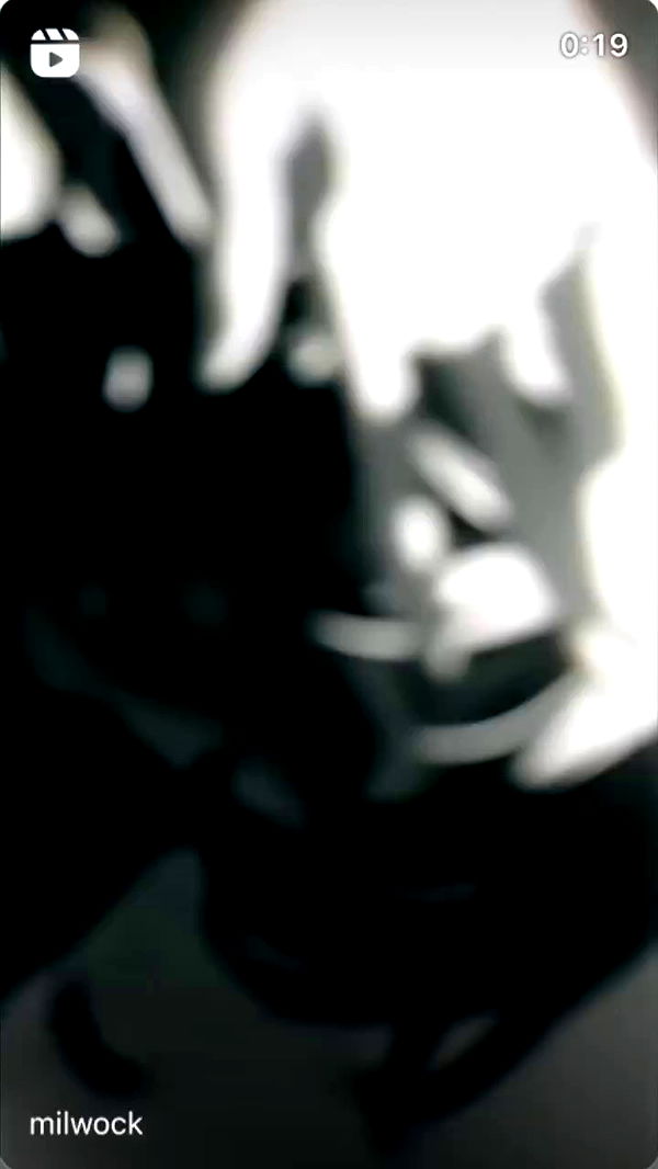 moonliliaght archive video preview