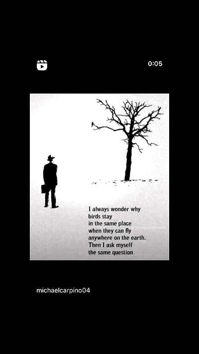 moonliliaght moonliliaght archive video