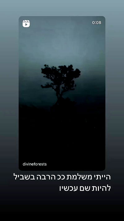 moonliliaght moonliliaght archive video