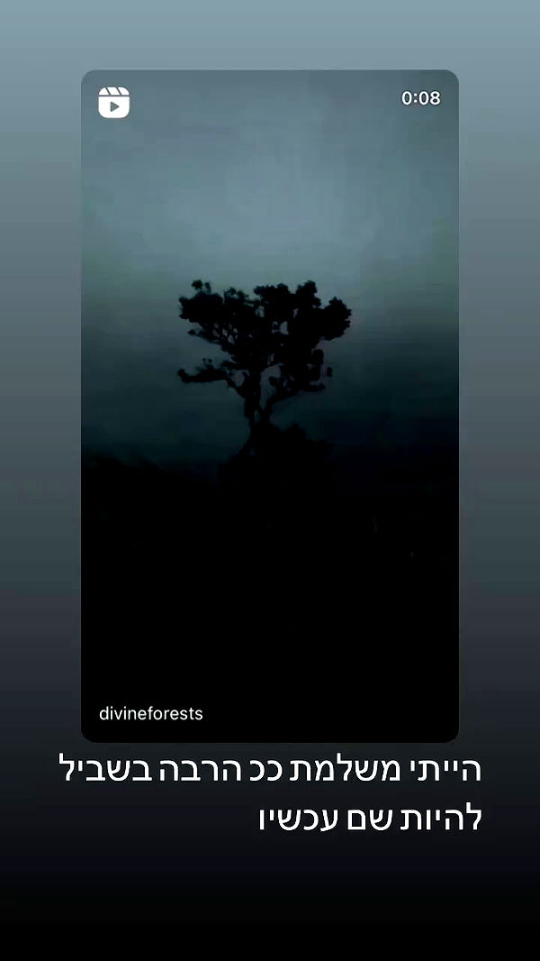 moonliliaght archive video preview