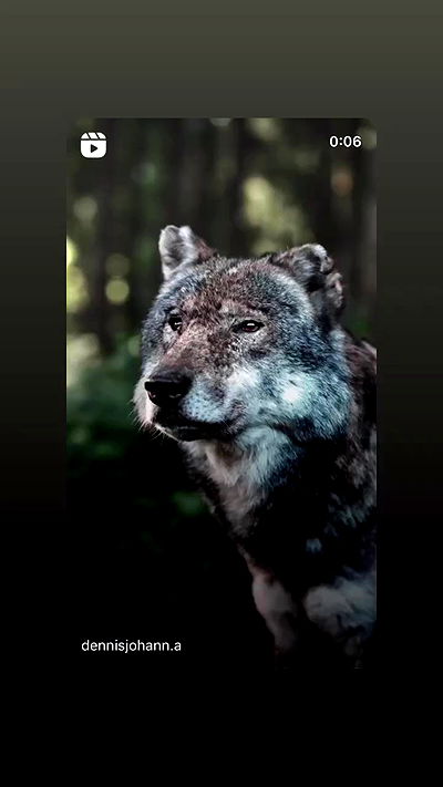 moonliliaght moonliliaght archive video