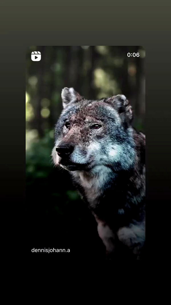 moonliliaght archive video preview