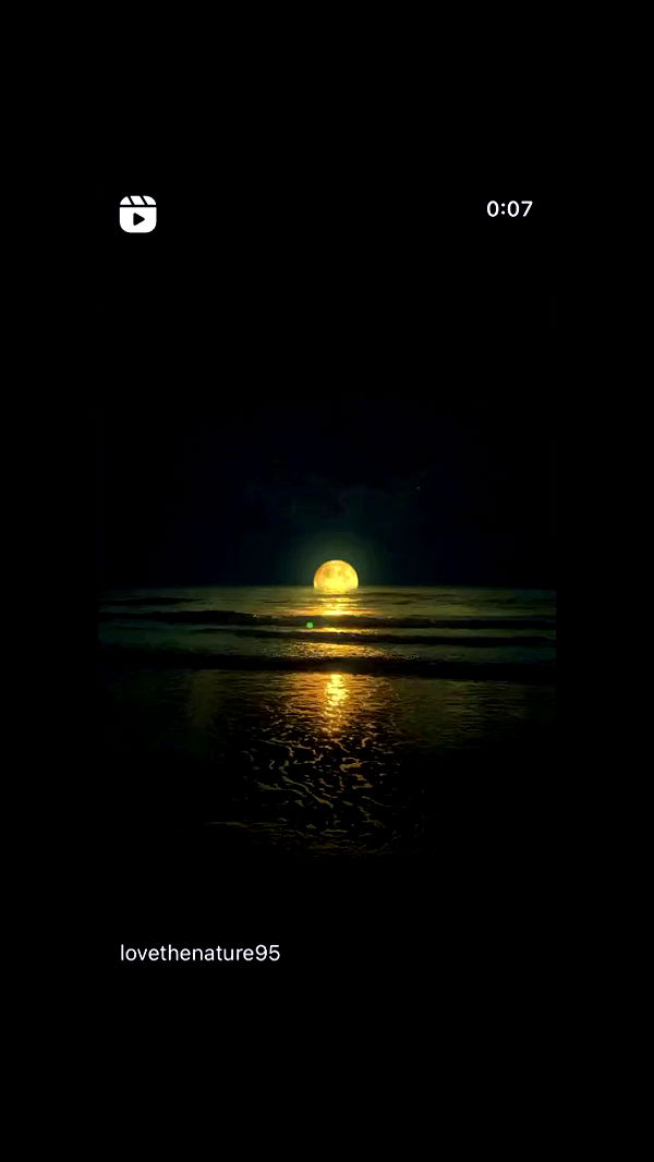 moonliliaght archive video preview