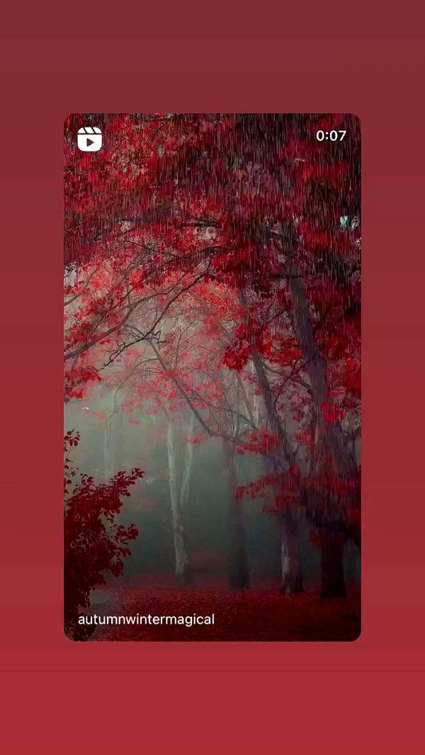 moonliliaght archive video preview