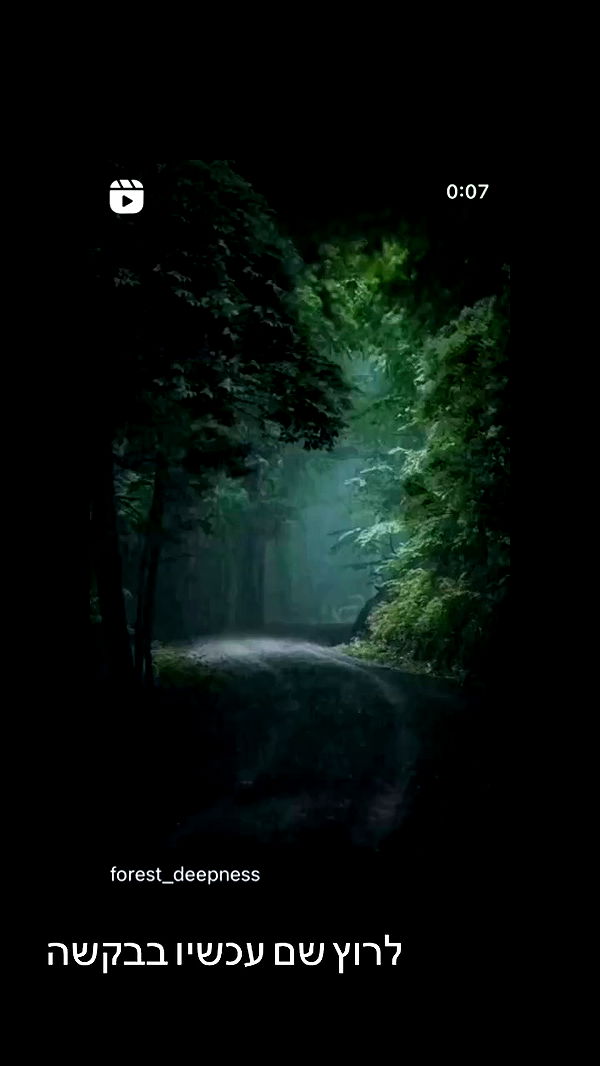 moonliliaght archive video preview