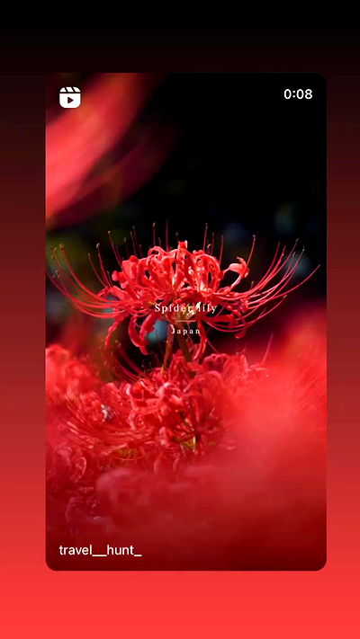 moonliliaght moonliliaght archive video