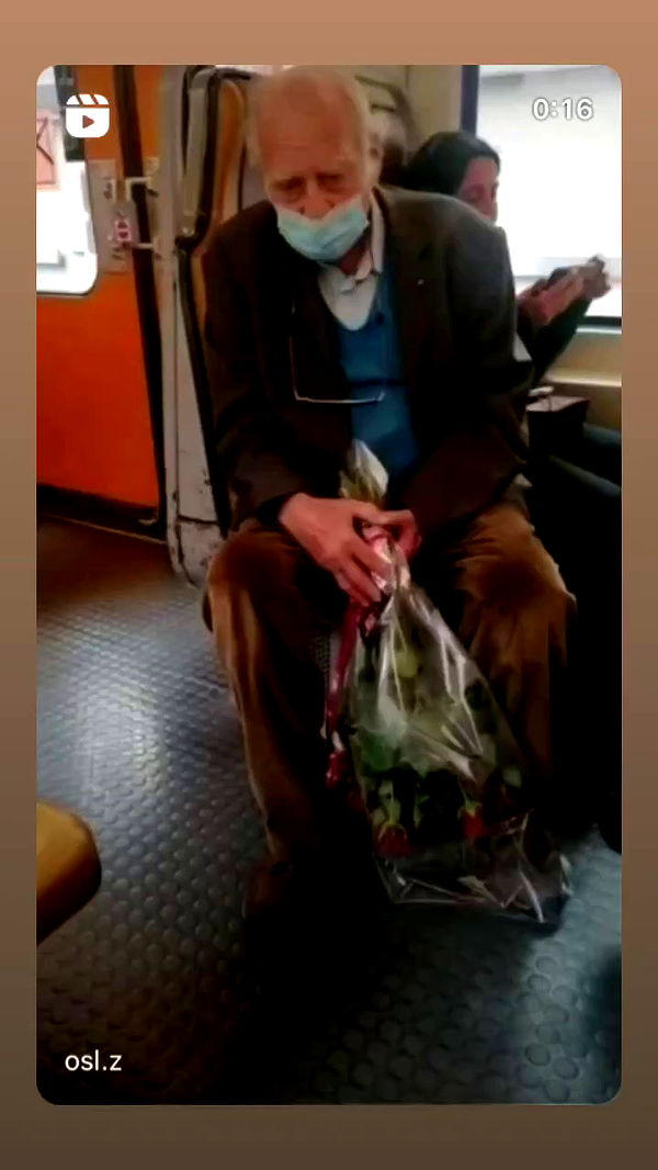 moonliliaght archive video preview