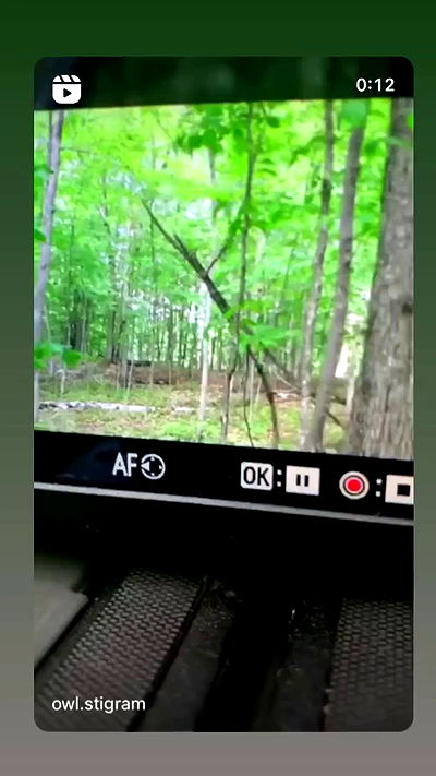 moonliliaght moonliliaght archive video