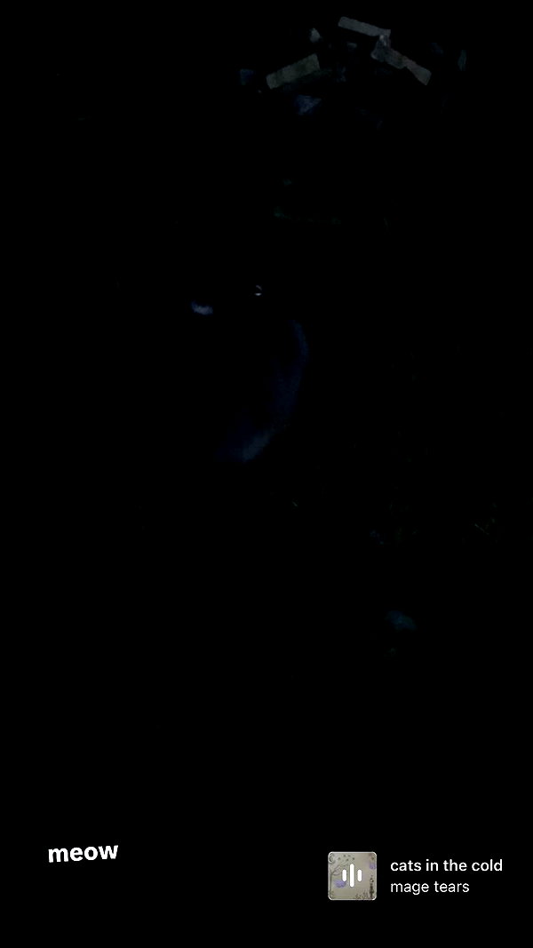bloodyfukk archive video preview