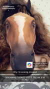 kalogerassunday Altpins Profile Picture