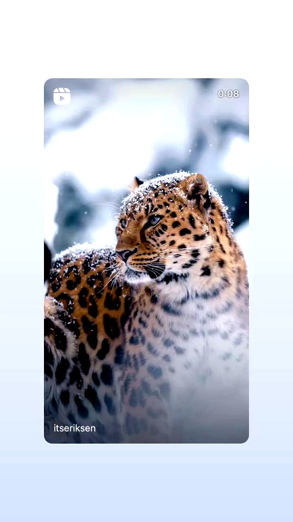 moonliliaght archive video preview