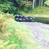 daisystorey_x Altpins Profile Picture