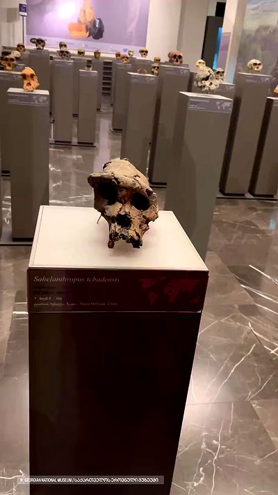 jaroslava_klavir jaroslava_klavir archive video