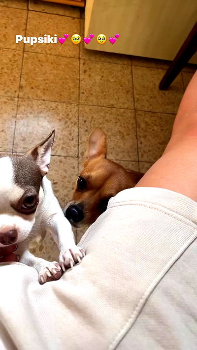 jaroslava_klavir jaroslava_klavir archive video