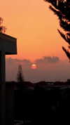 roni_ackerman Altpins Profile Picture