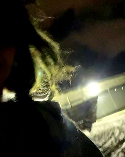 simp_for_cats_ simp_for_cats_ archive video