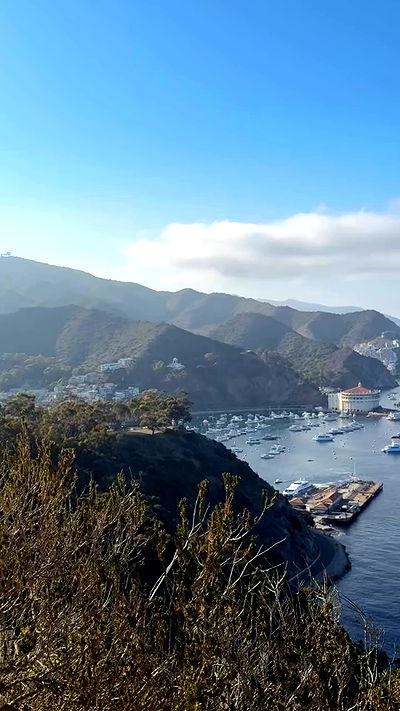 zommmbri zommmbri archive video