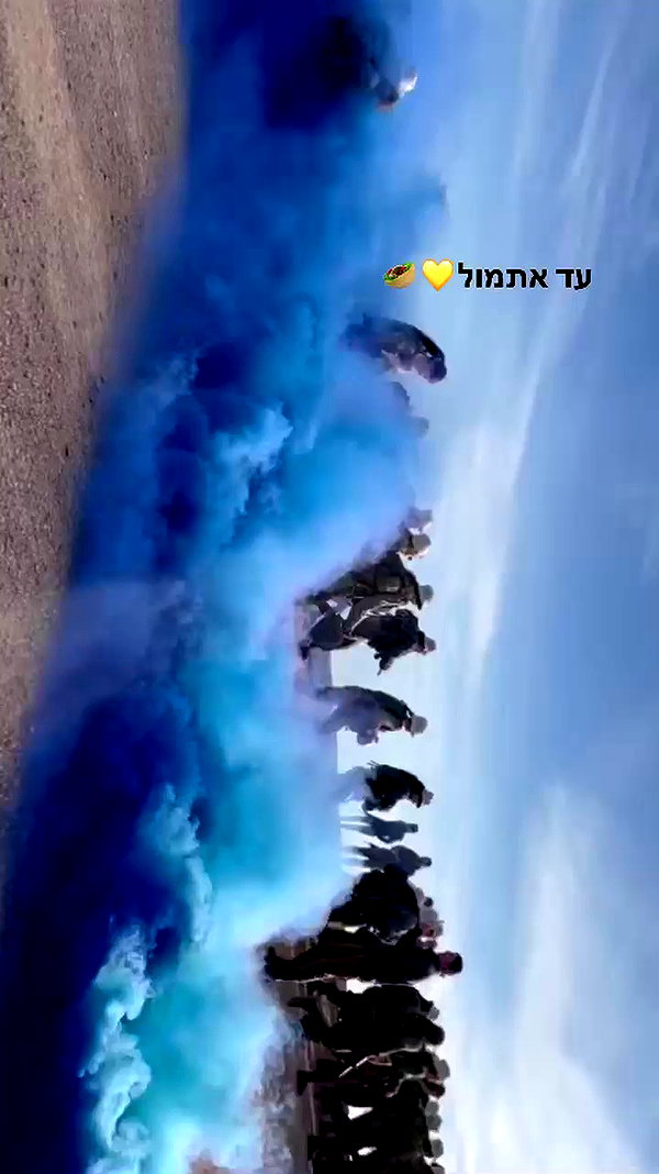 shellydekel archive video preview