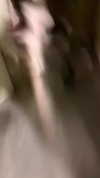 shellydekel Altpins Profile Picture
