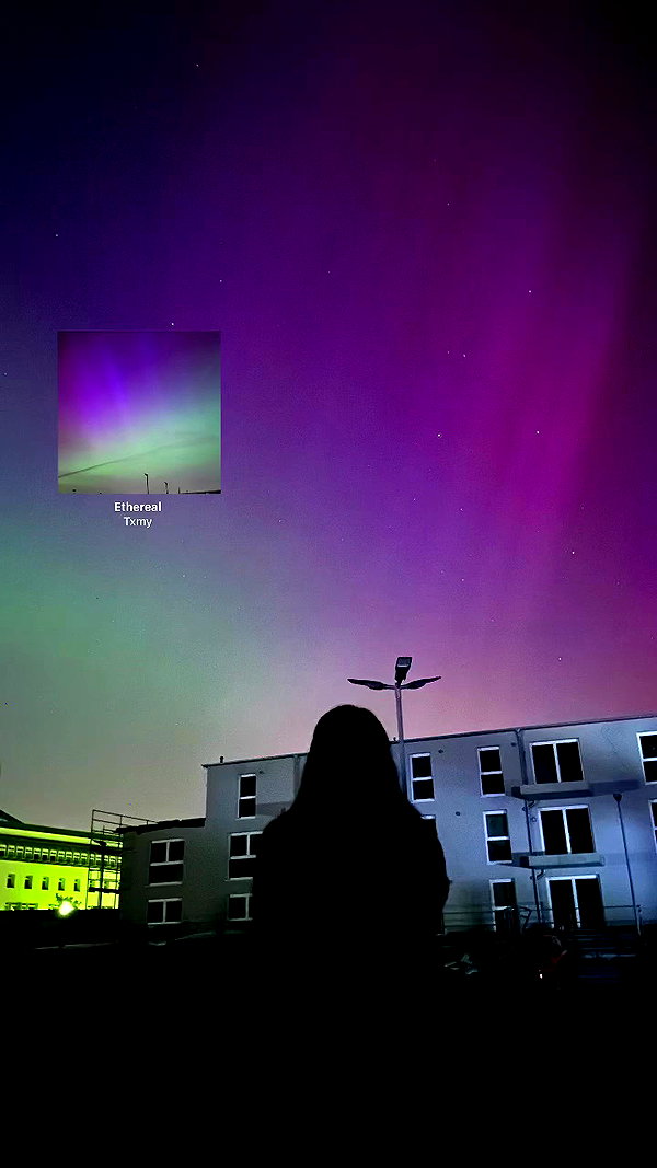 shadowifey archive video preview
