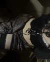 liah.t_ Altpins Profile Picture